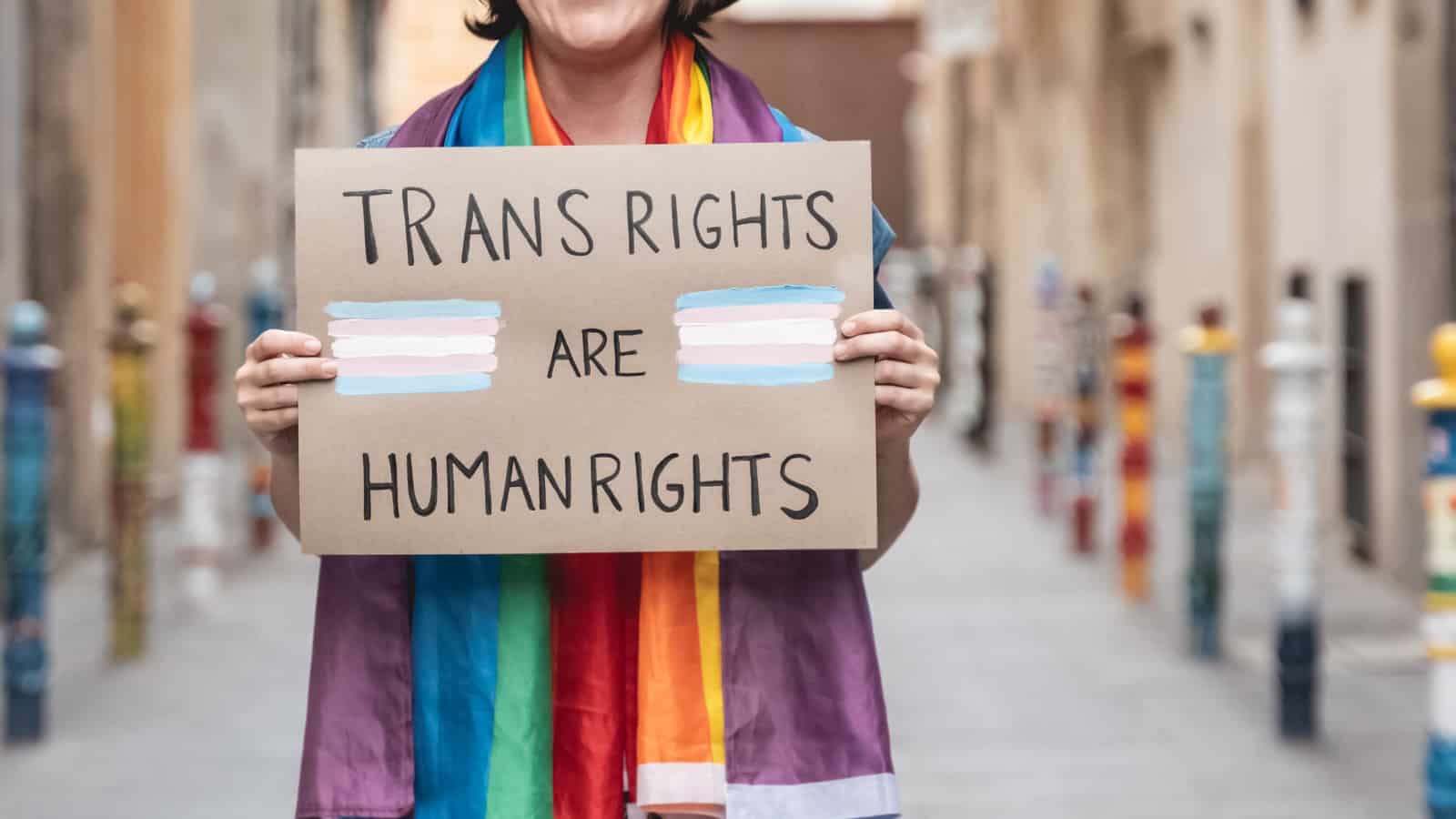 Trans rights are human rights. Person holding trans rights sign.