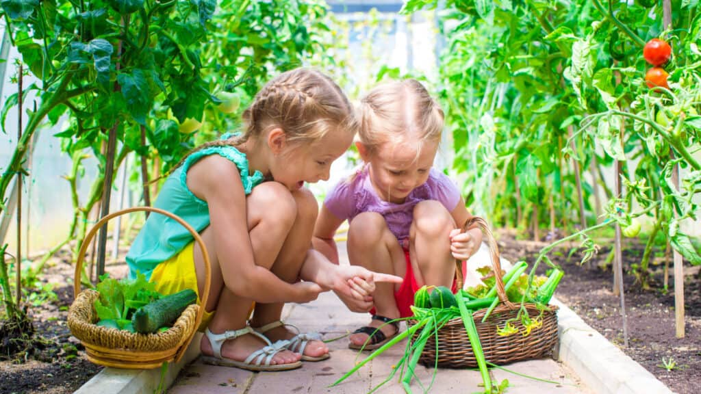 Little girls gardening. 