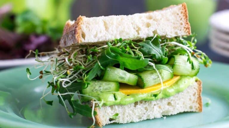 20 lean lunches To Fill Your Belly, not Fatten It