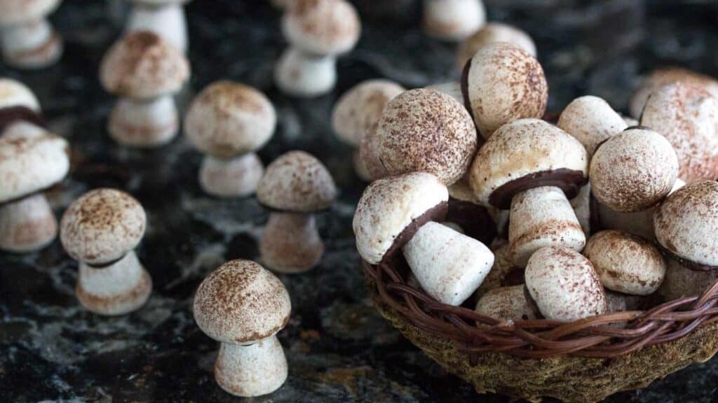 closeup-of-meringue-mushrooms-in-basket.