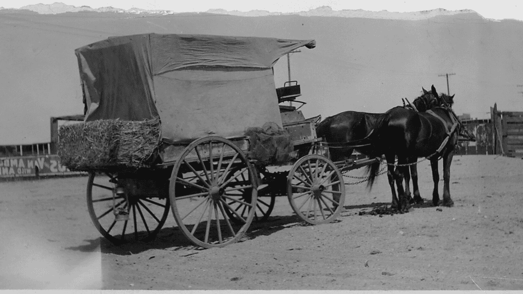 Buggy used for smuggling.