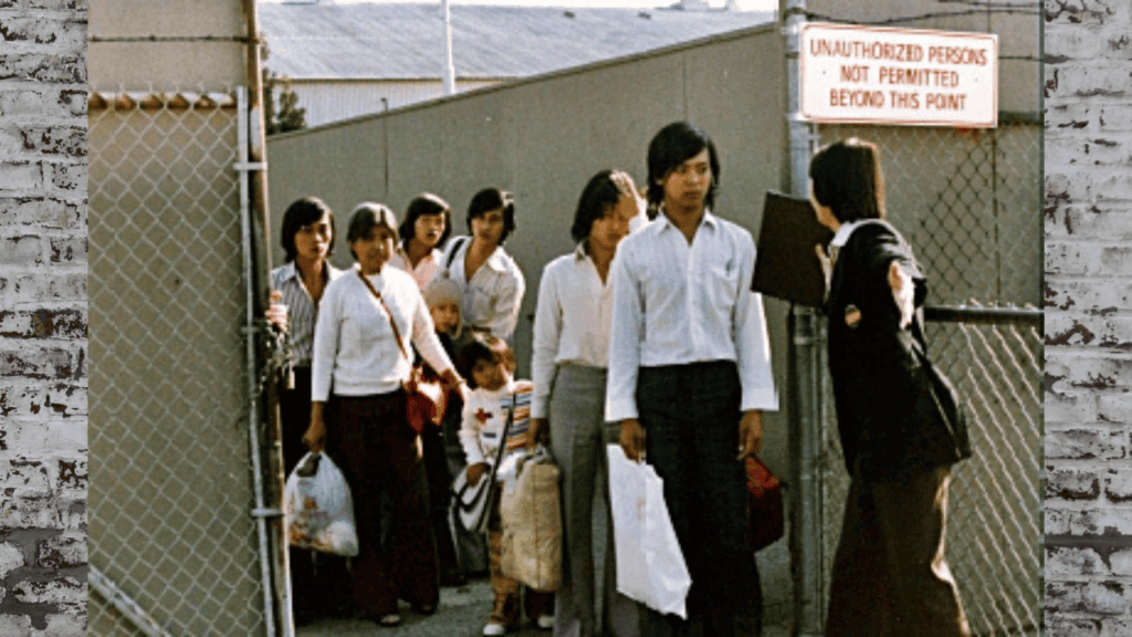 Immigrants 1979.