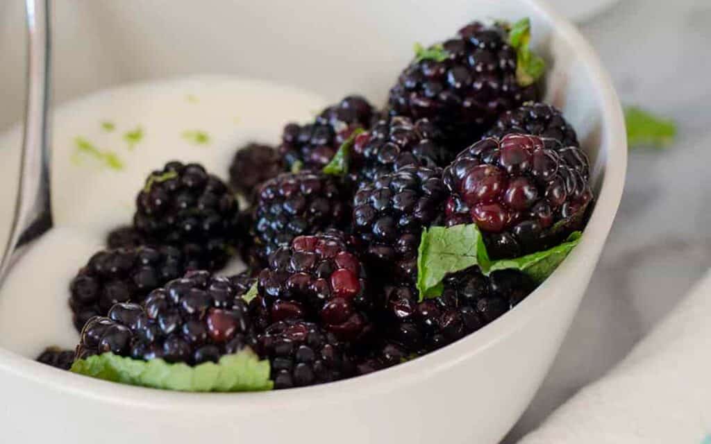 Blackberry-Mint-Yogurt-Bowl.