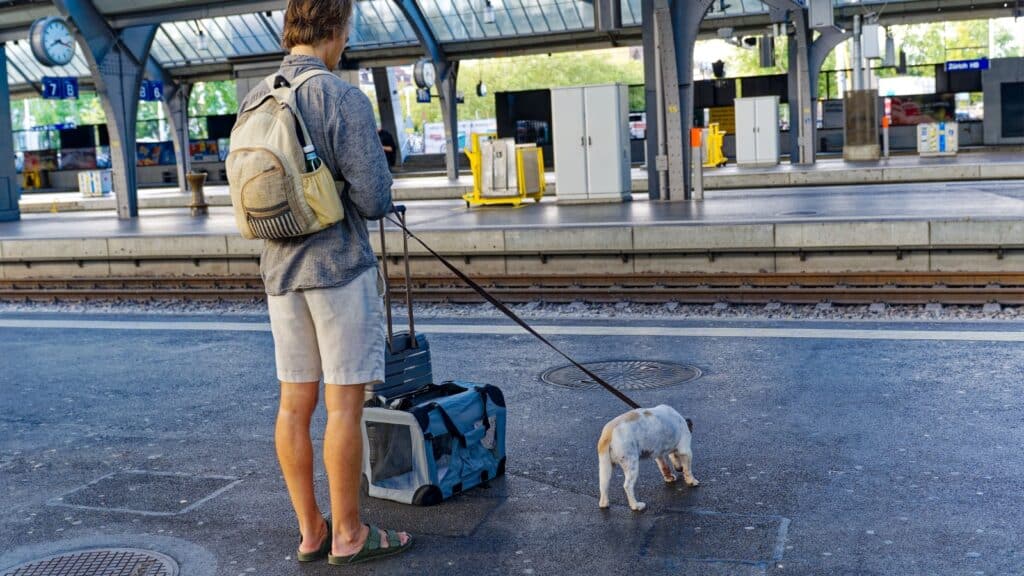 Dog at train station. 