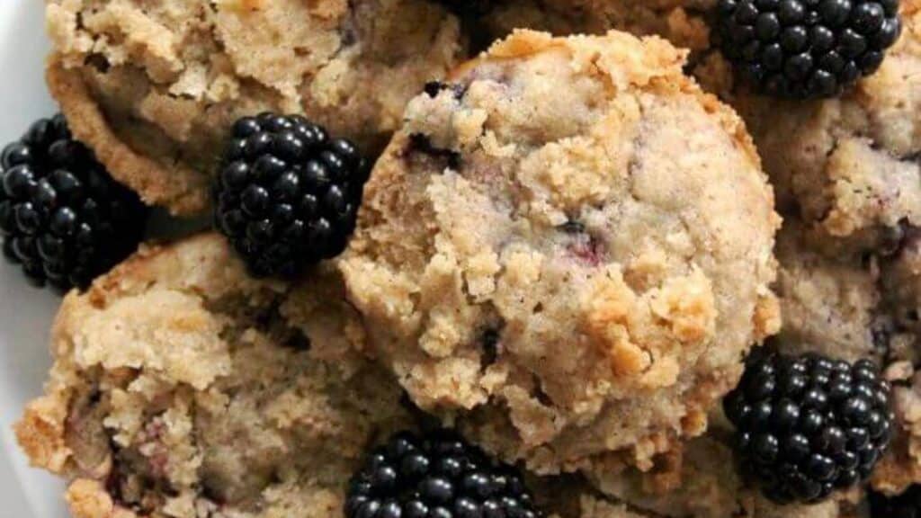 Gluten-Free-Blackberry-Muffins-Vegan-Allergy-Free-PM1.