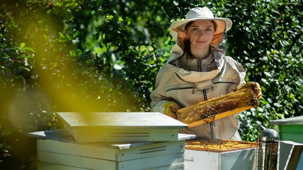 beekeeping.