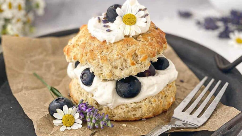 blueberry-shortcake-with-fork.
