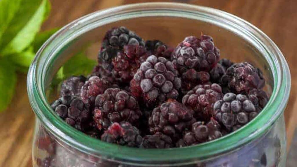 freezing-blackberries-1.
