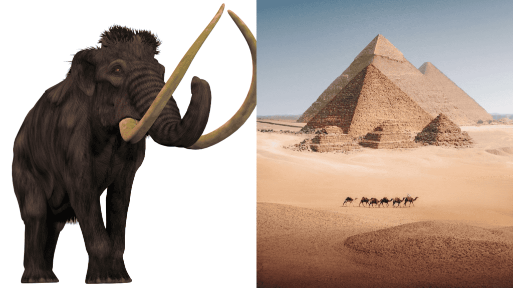 wooly mammoth and pyramids.