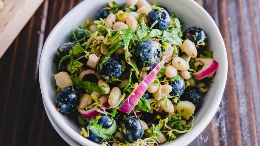 Blueberry_White_Bean-Salad-8.