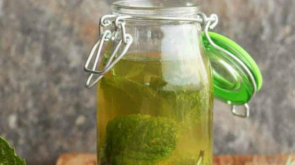 Homemade-Peppermint-Extract-3.