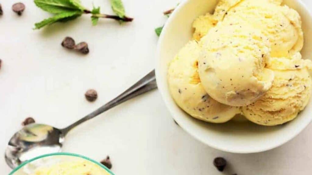 Mint-Chocolate-Chip-Ice-Cream-3.