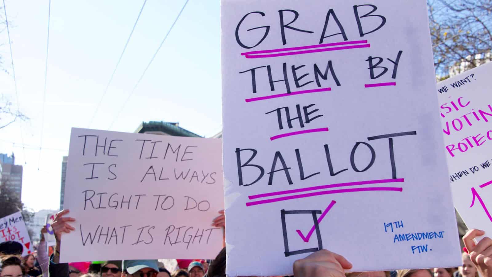 Protest signs. Grab them by the ballot.
