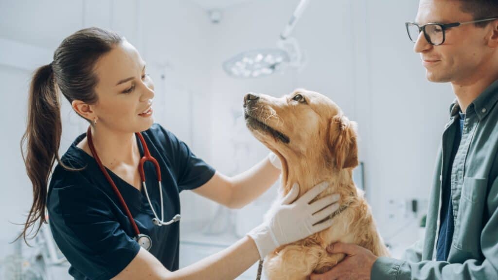 Speaking with veterinarian.