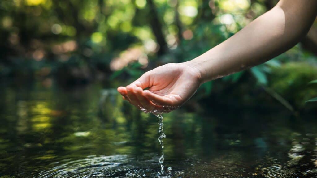 hand scooping water from pond. 