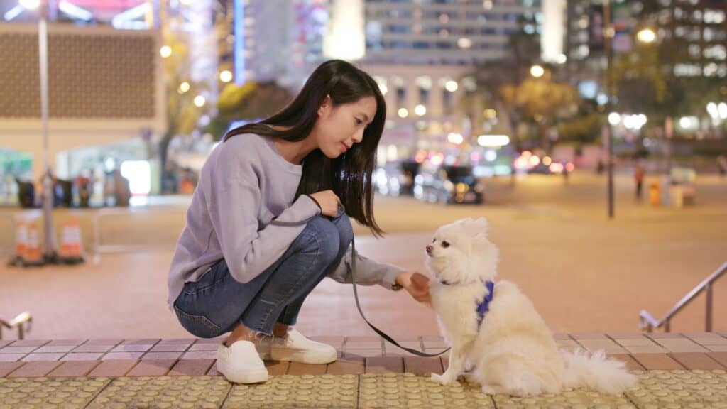 woman walking dog in evening.