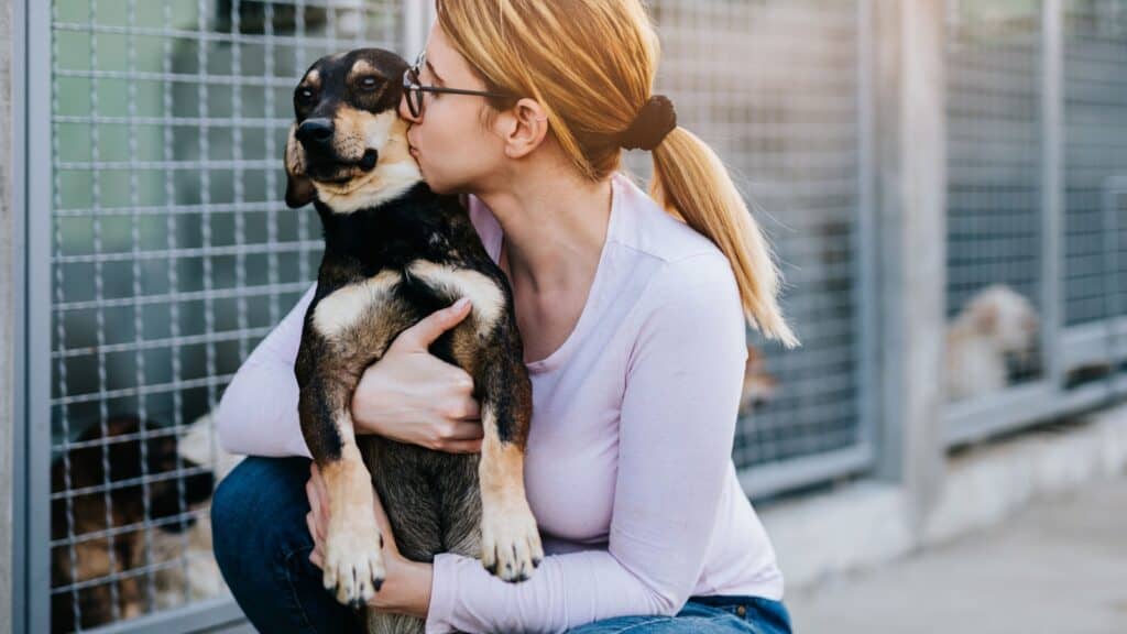 Kissing dog in shelter. 