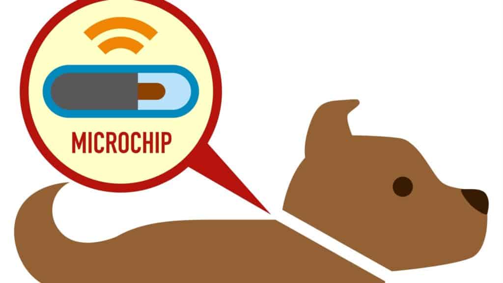 Microchip graphic. 