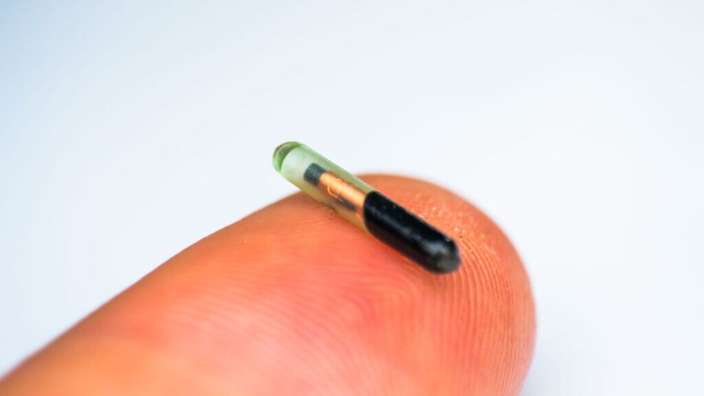 Microchip on finger showing size.