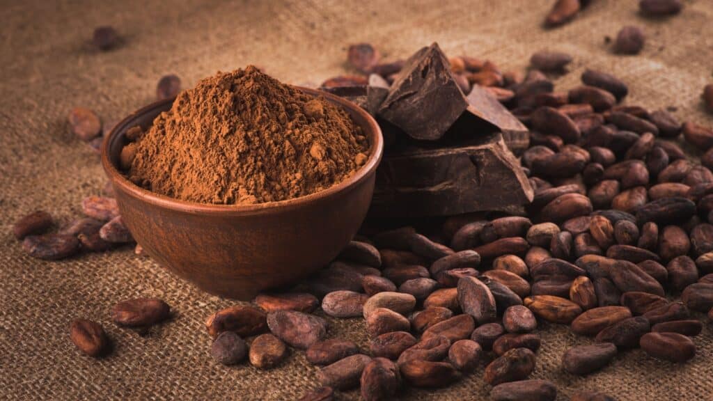 cocoa powder and cacao beans.