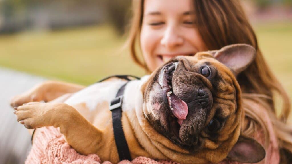 woman and Frenchie. 