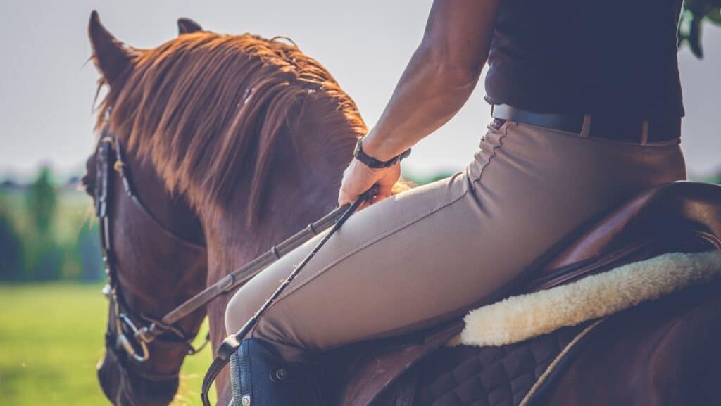 Horseback riding. 