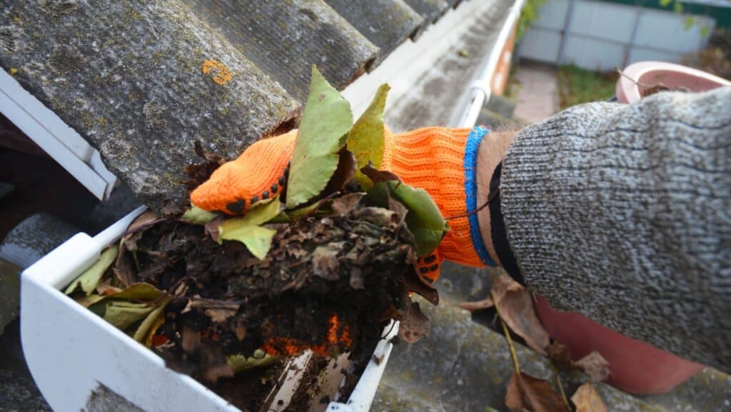 cleaning gutters.