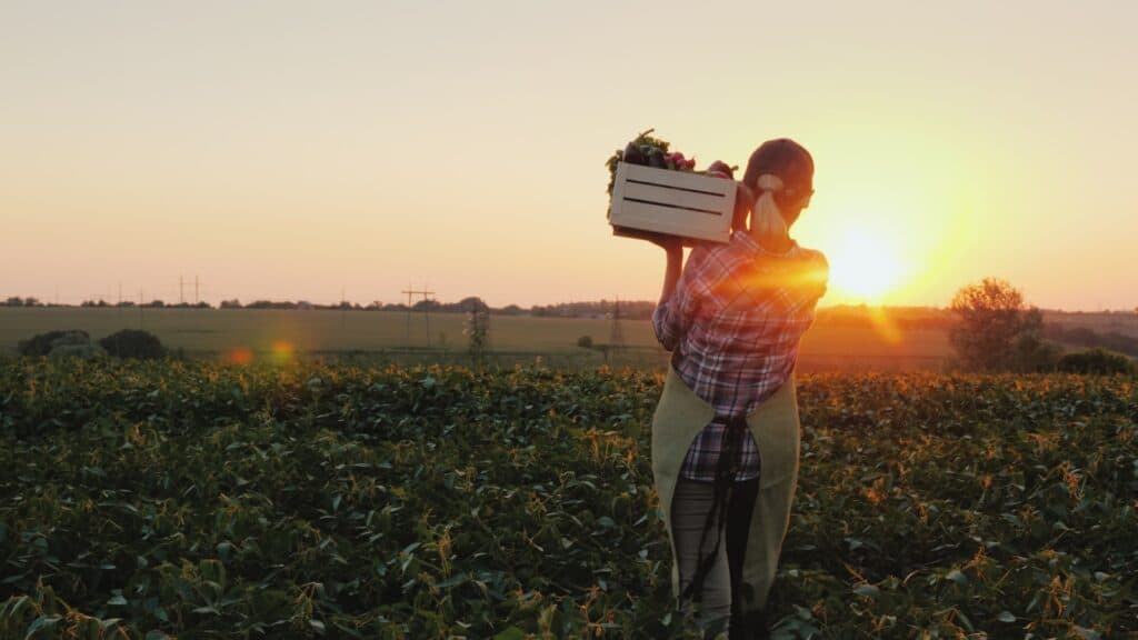 female farmer in field. Local. Vegetables.