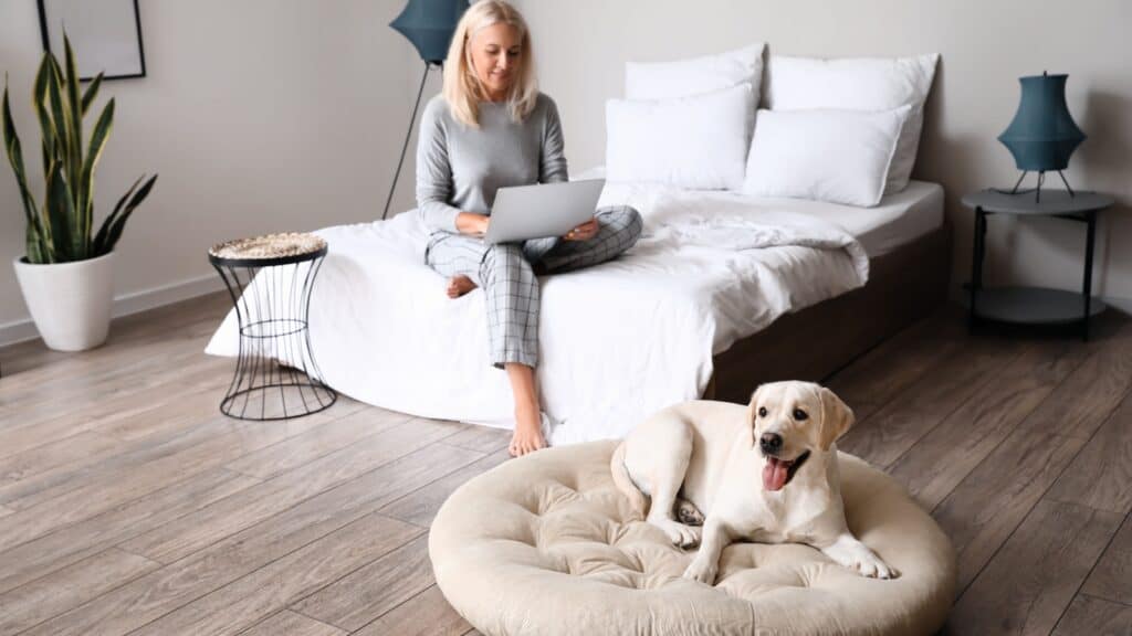 woman and dog. Bed. laptop. 