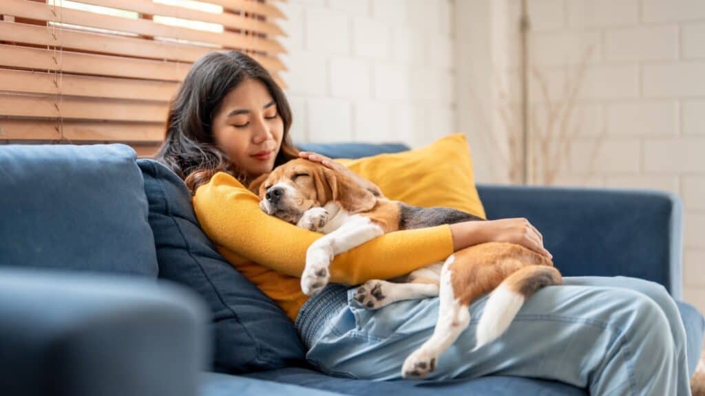 woman hugging dog on lap.