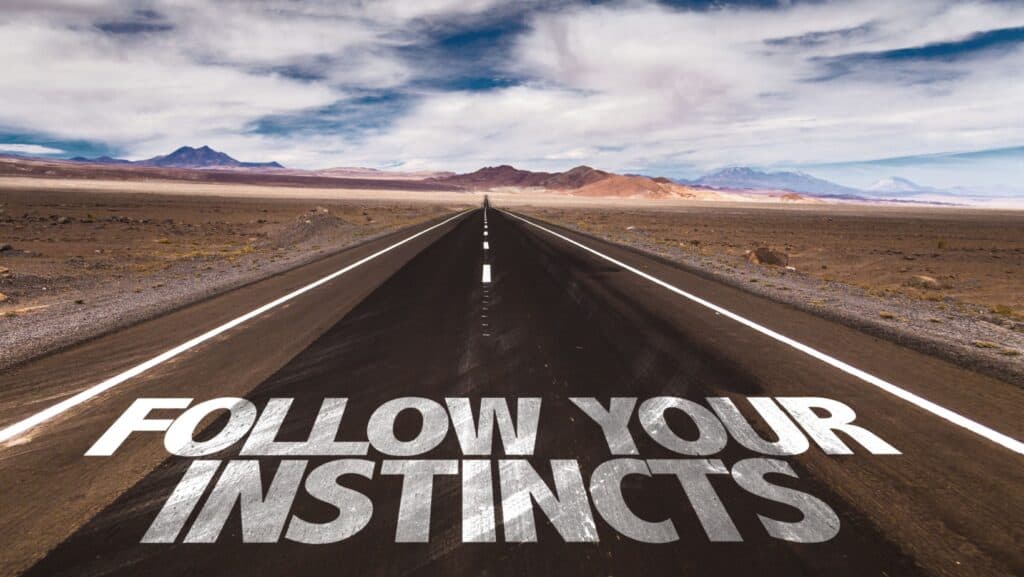 follow instincts. 